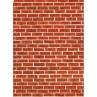 Tapete Fotografico Savage Para Piso o Pared Red Brick 1.52m  X 2.13m