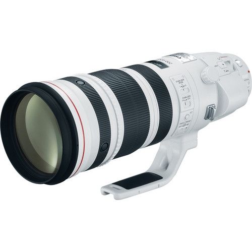 EF 200-400MM F/4L IS USM CON EXTENDER 1.4X INTERNO