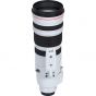 EF 200-400MM F/4L IS USM CON EXTENDER 1.4X INTERNO