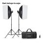 KIT 2 FLASHES DE ESTUDIO MONOLIGHT MS300VF GODOX